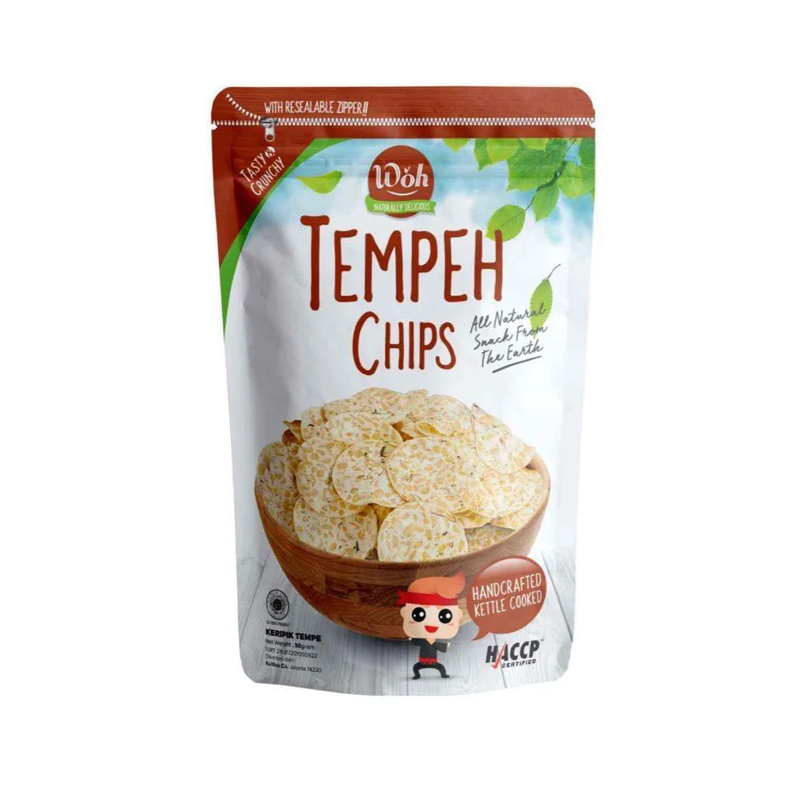 Tempeh Chips Original (1)